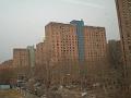 Sheffield_KW4_2008 036